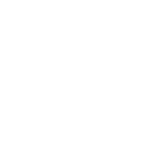 Driver Monitoring Icon