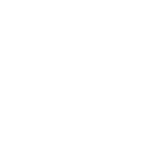 Inventory Management Icon